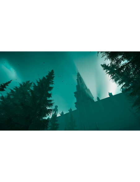 THE SILENT SWAN: Rising in the mist edition