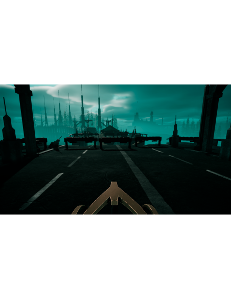 THE SILENT SWAN: Rising in the mist edition