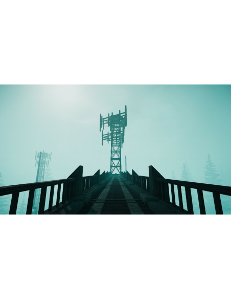 THE SILENT SWAN: Rising in the mist edition